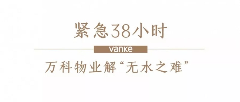 8.webp.jpg