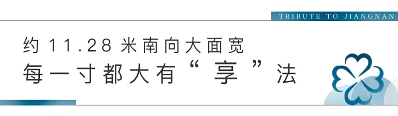 6.webp.jpg