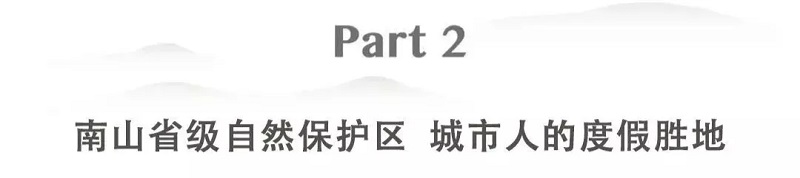640.webp (10).jpg